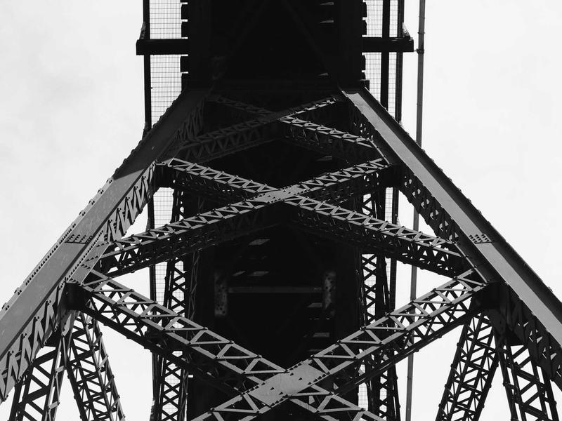 시즌 캠페인: 숲의 조각